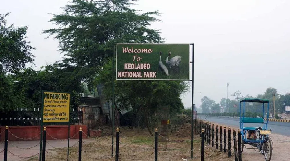 Keoladeo National Park Bharatpur